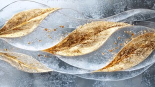 冰封秋叶的唯美艺术画面