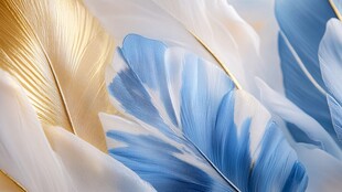 梦幻蓝金白羽毛特写