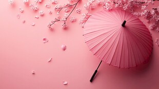 粉色樱花伞 浪漫春日氛围