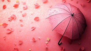 粉色雨伞下的浪漫花瓣雨