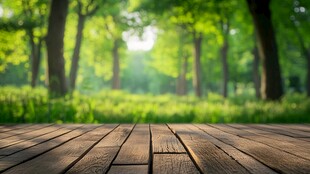 林间木台 绿意盎然之景