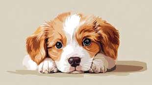 趴着的可爱小狗狗