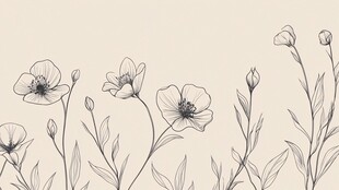 手绘花卉边框插画