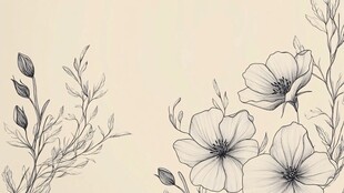 手绘花卉边框插画