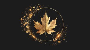 金色枫叶环绕星光背景图