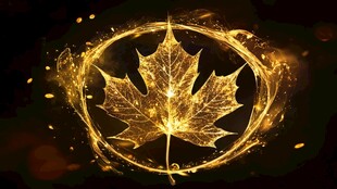 金色火焰环绕的枫叶特效