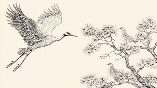 鹤翔松枝间