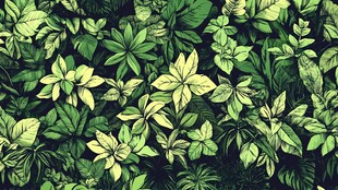 繁茂绿植背景图