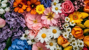 缤纷多彩花卉大集合