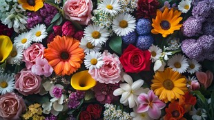 缤纷多彩花卉大集合