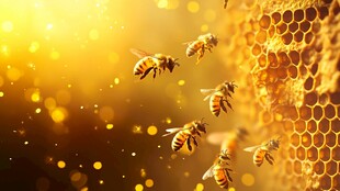 蜜蜂围绕蜂巢的梦幻场景