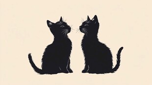 对视的两只黑猫剪影