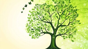 绿意盎然的生机之树