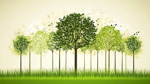 梦幻绿意树林景观图
