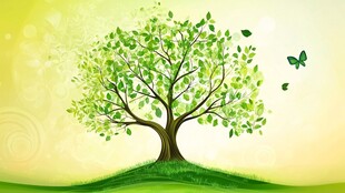 春日绿树伴蝶的清新景象