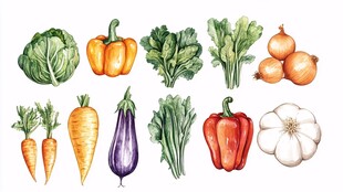 手绘多彩新鲜蔬菜集合