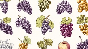手绘多彩葡萄及苹果图案