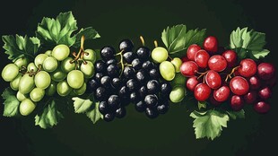 多彩葡萄与绿叶的美妙组合