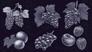 手绘水果集合图