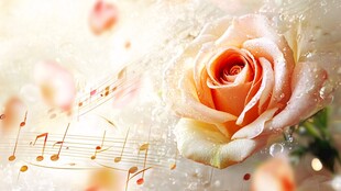 浪漫玫瑰与灵动音符