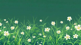 春日草地小白花清新背景
