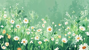 春日雏菊烂漫草地风景