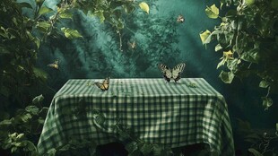 绿野中的格子桌与蝴蝶