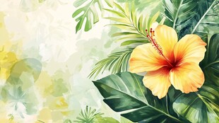 夏日扶桑花清新绿植背景