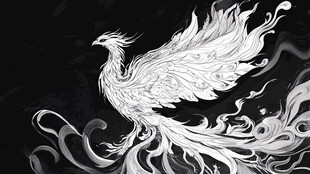 白凤凰插画 神秘且华丽