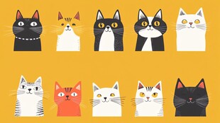 可爱猫咪大集合