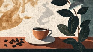 温暖咖啡时光 绿植相伴