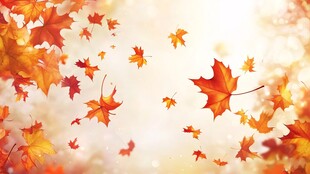 秋意浓 飘零枫叶的梦幻景致