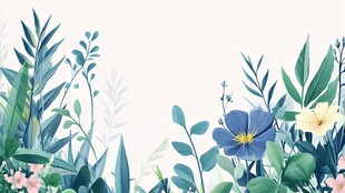 清新花卉绿植边框插画