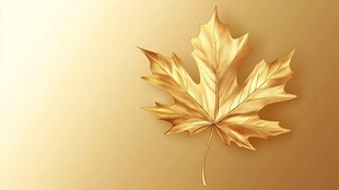 金色枫叶 尽显优雅质感