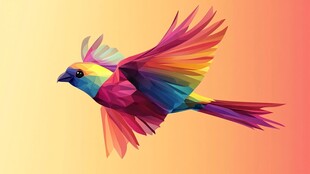 五彩飞鸟展翅翱翔