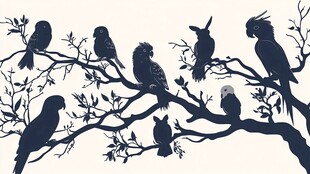 树枝上的多彩鸟儿剪影