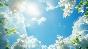 蓝天白云下的烂漫繁花