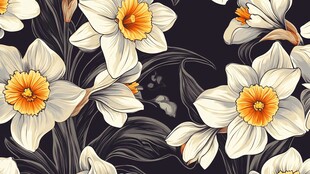 白色水仙花卉图案背景图