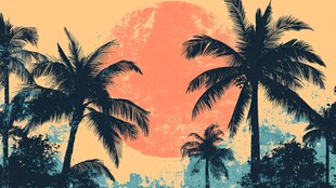 夕阳下的椰林美景