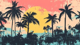 热带落日下的棕榈树景观