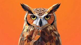 几何风格猫头鹰正面特写