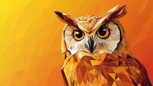 几何风格猫头鹰特写