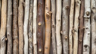 原木排列纹理图