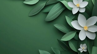 绿叶白花背景图