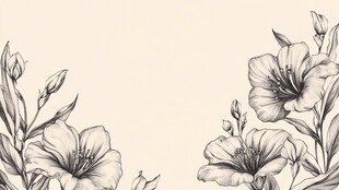 花卉黑白线描边框图案