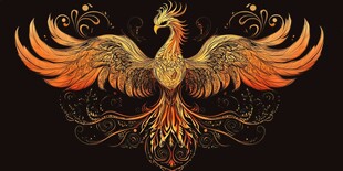 金色凤凰插画 华丽而神秘