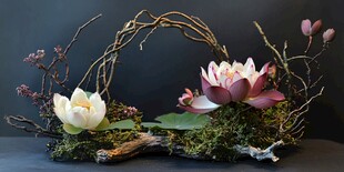 自然风睡莲苔藓艺术花艺