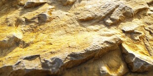 纹理独特的粗糙岩石表面