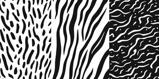 黑白动物纹理图案集合