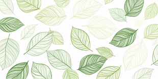 清新绿叶无缝背景图案